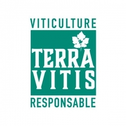 Terra Vitis : qu’est-ce que c’est ?